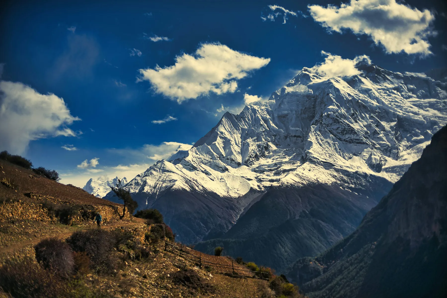 A sunlit wall of snowy Himalayan summits beneath a cobalt sky